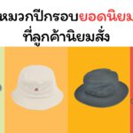 10 หมวกปีกรอบ